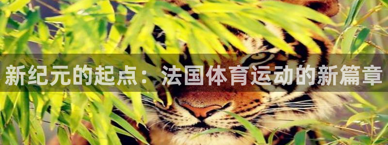 风速体育直播现场：新纪元的起点：法国体育运动的新篇章