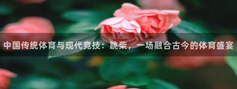 风速体育NBA：中国传统体育与现代竞技：跳柴，一场融合古今的体育盛宴