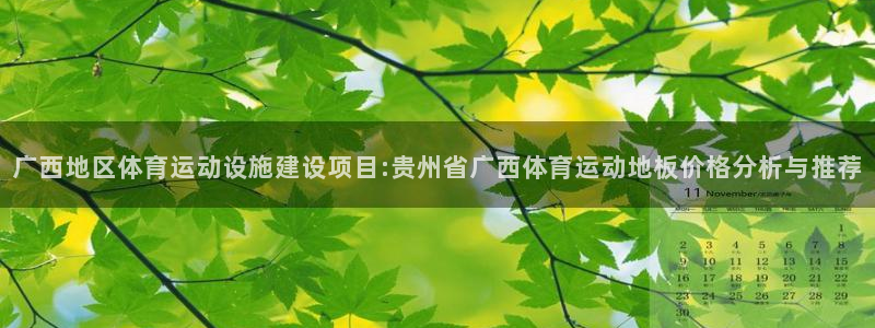 风速体育app官网：广西地区体育运动设施建设项目:贵州省广西体育运动地板价格分析与推荐