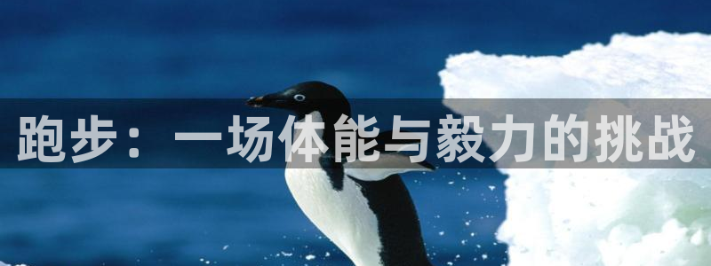 风速体育app官网：跑步：一场体能与毅力的挑战