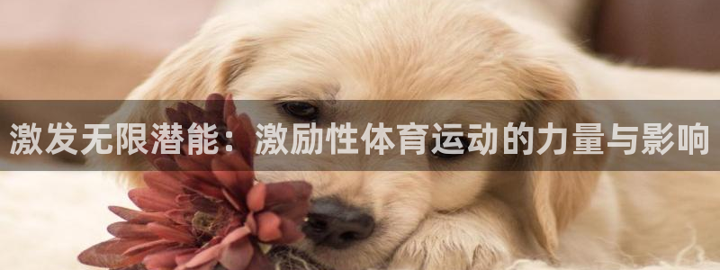 风速体育官方下载安装：激发无限潜能：激励性体育运动的力量与影响