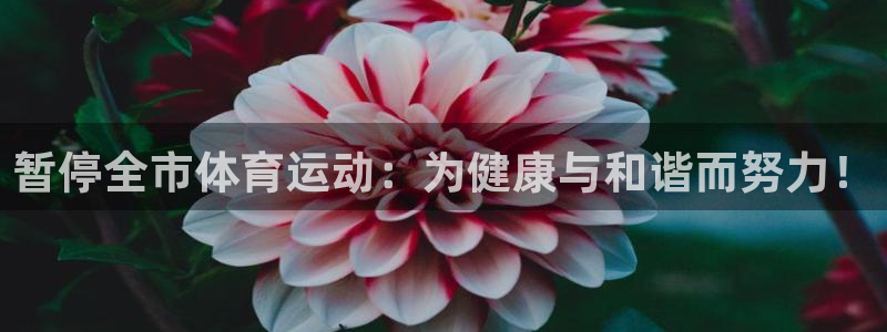 风速体育手机直播：暂停全市体育运动：为健康与和谐而努力！