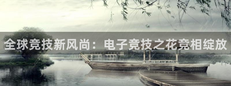 风速体育NBA：全球竞技新风尚：电子竞技之花竞相绽放