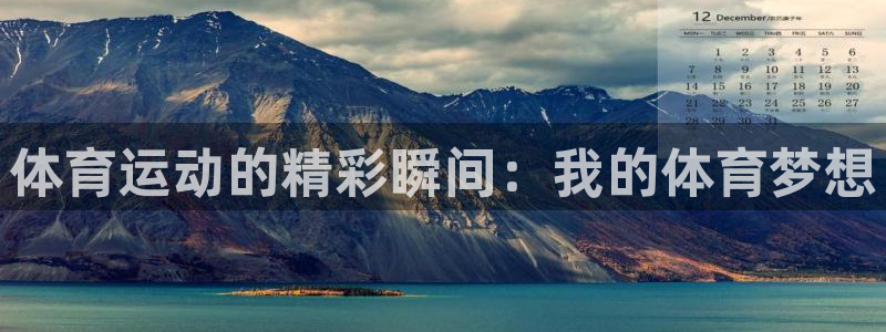 风速体育官方网站下载：体育运动的精彩瞬间：我的体育梦想