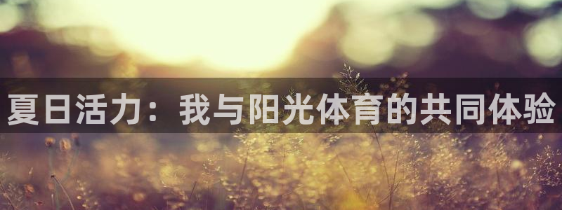 安徽风速体育科技有限公司：夏日活力：我与阳光体育的共同体验