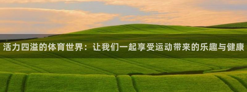 风速体育是正规公司吗：活力四溢的体育世界：让我们一起享受运动带来的乐趣与健康